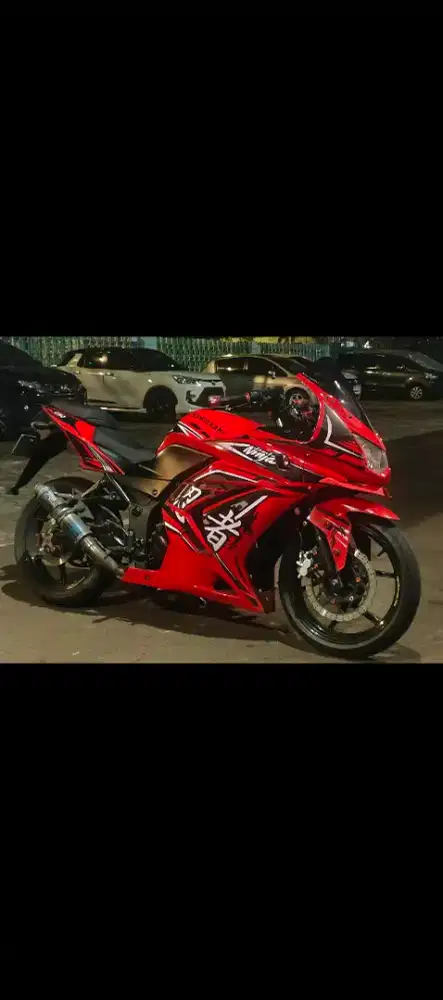 Ninja Karbu 250