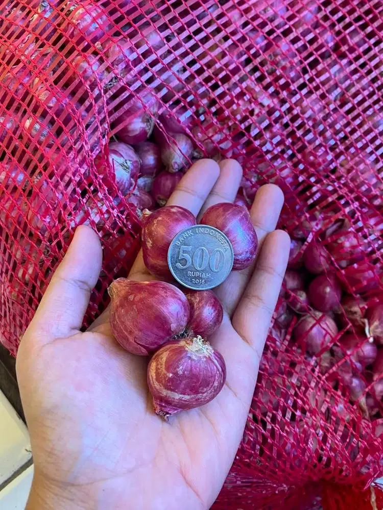 Bawang Merah Probo Murah