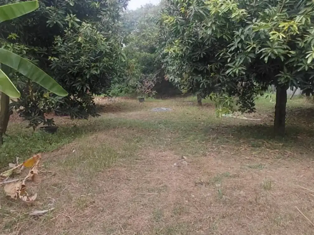 Tanah Siap Bangun Bebas Banjir di Rawalumbu Bekasi