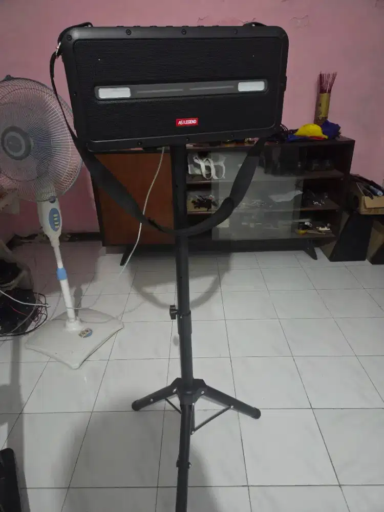 Speaker asatron legend L3001 max
