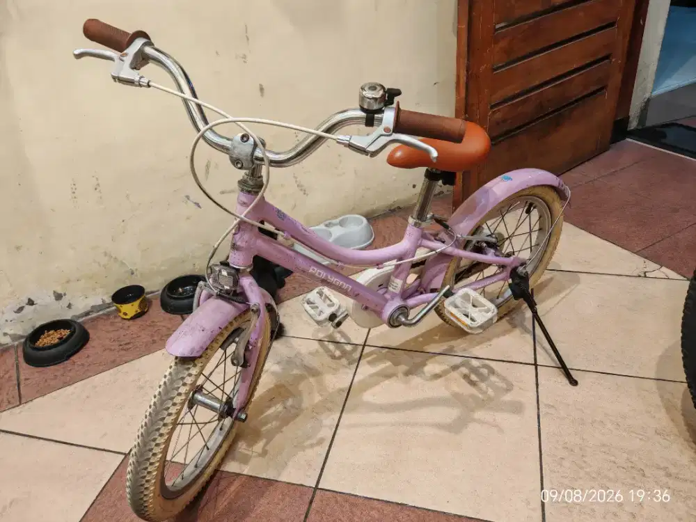 Sepeda Anak Polygon Alice 16