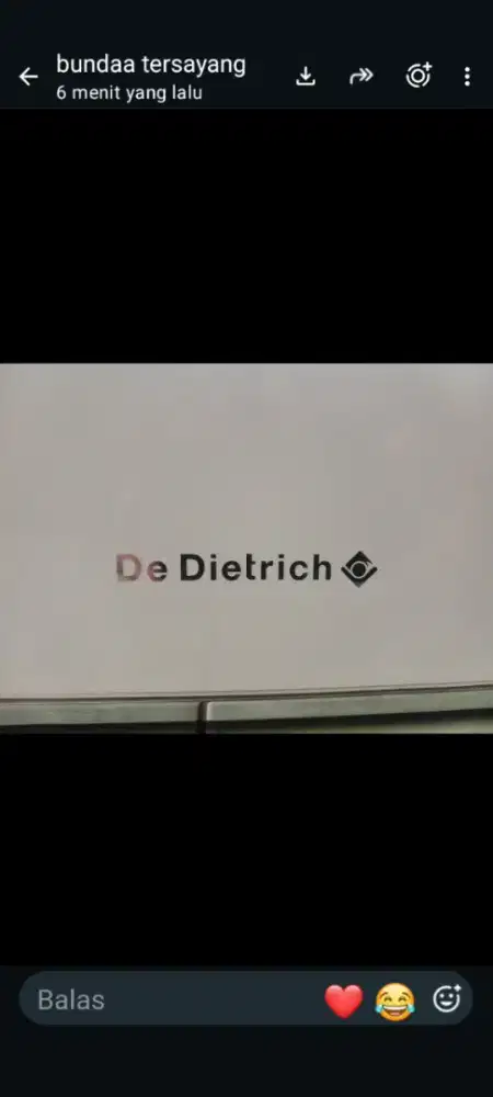 Oven tanam merek De Dietrich Pylorytic