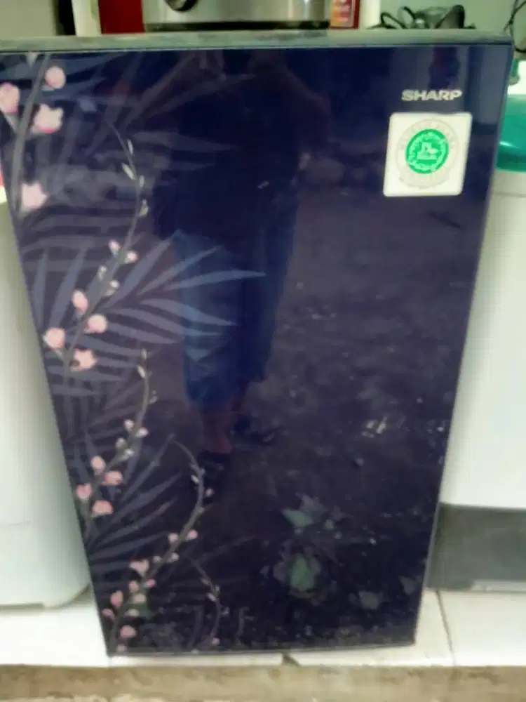 kulkas sharp 1 pintu merek sharp rak dalem masi lengkap