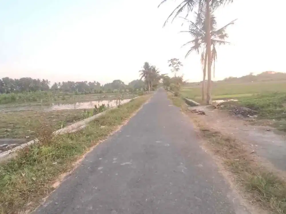 Dijual Sawah Selatan STM Argomulyo Sedayu Bantul