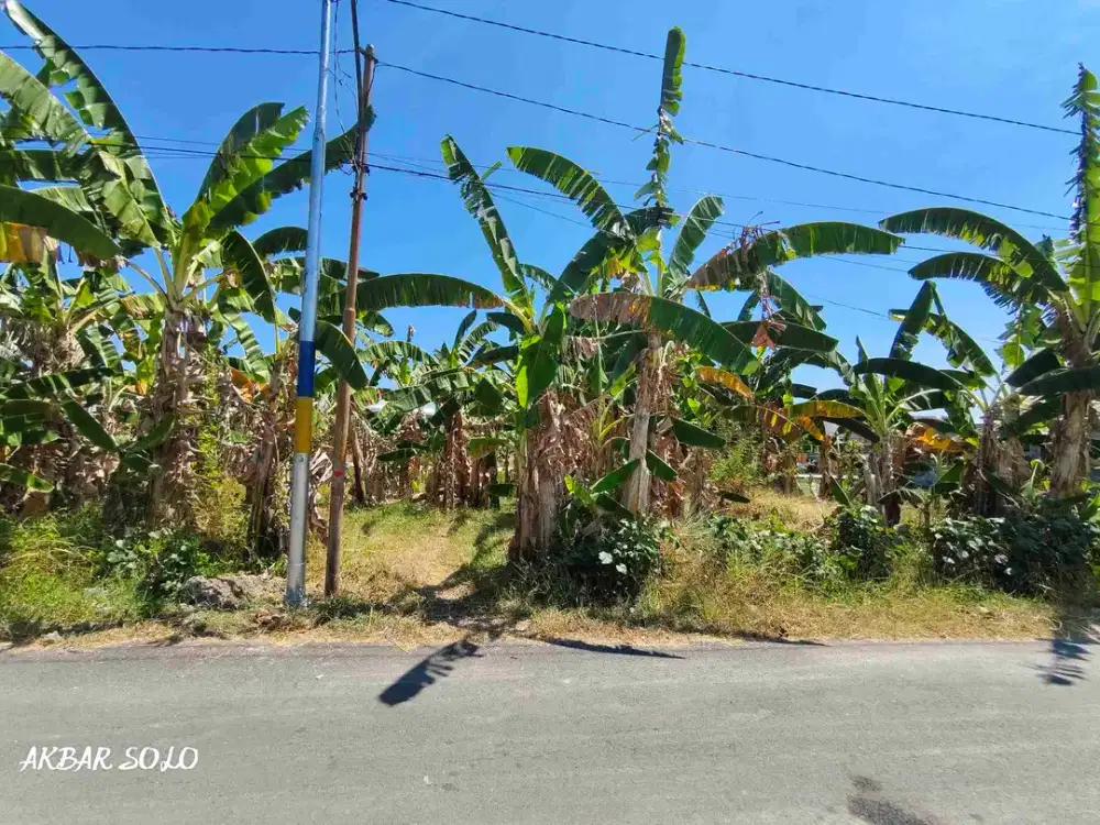 tanah murah karangasem laweyan solo area kampus ums atmi
