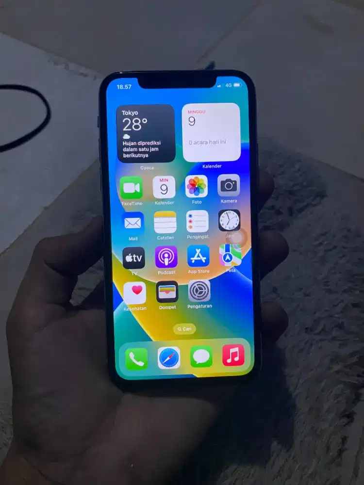 iPhone X 64 GB no reset