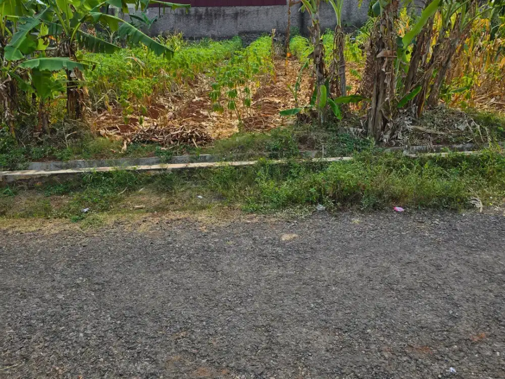 Dijual Tanah Cileunyi Bandung Pinggir Jalan Ramai Luas 590 m2