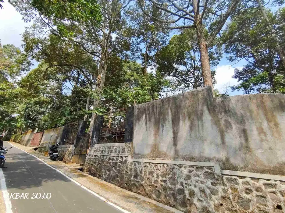di jual kebun durian jumantono karanganyar