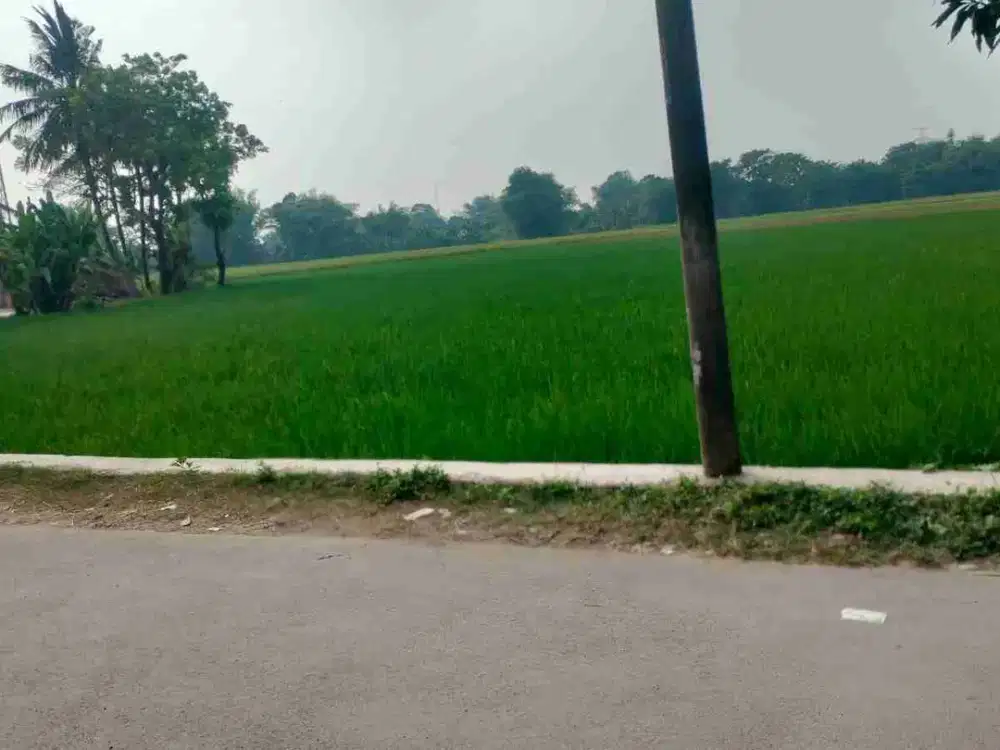 jual tanah pinggir jalan deket kampus surat SHM