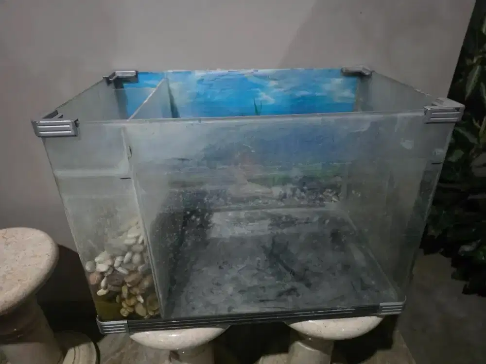 Aquarium Kaca Besar 60x40x40 cm + Sekat Filter Samping
