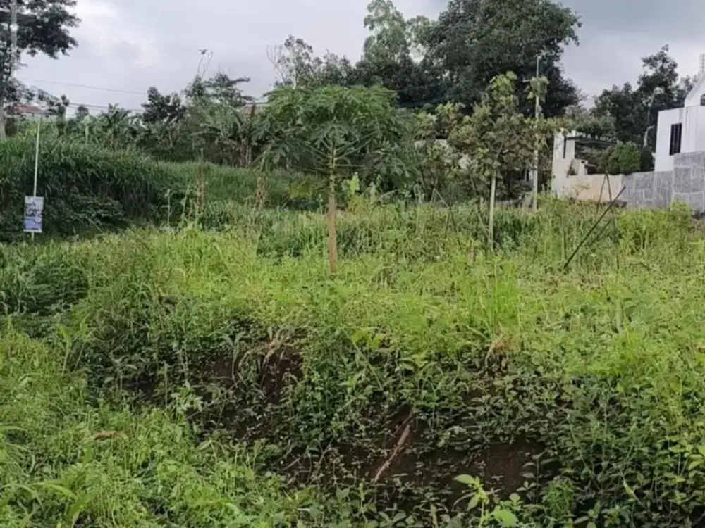 TANAH CAKEP Dimensi Kotak, Cocok buat Investasi ato Rumah Kebun, 5 menit ke BNS BAtu