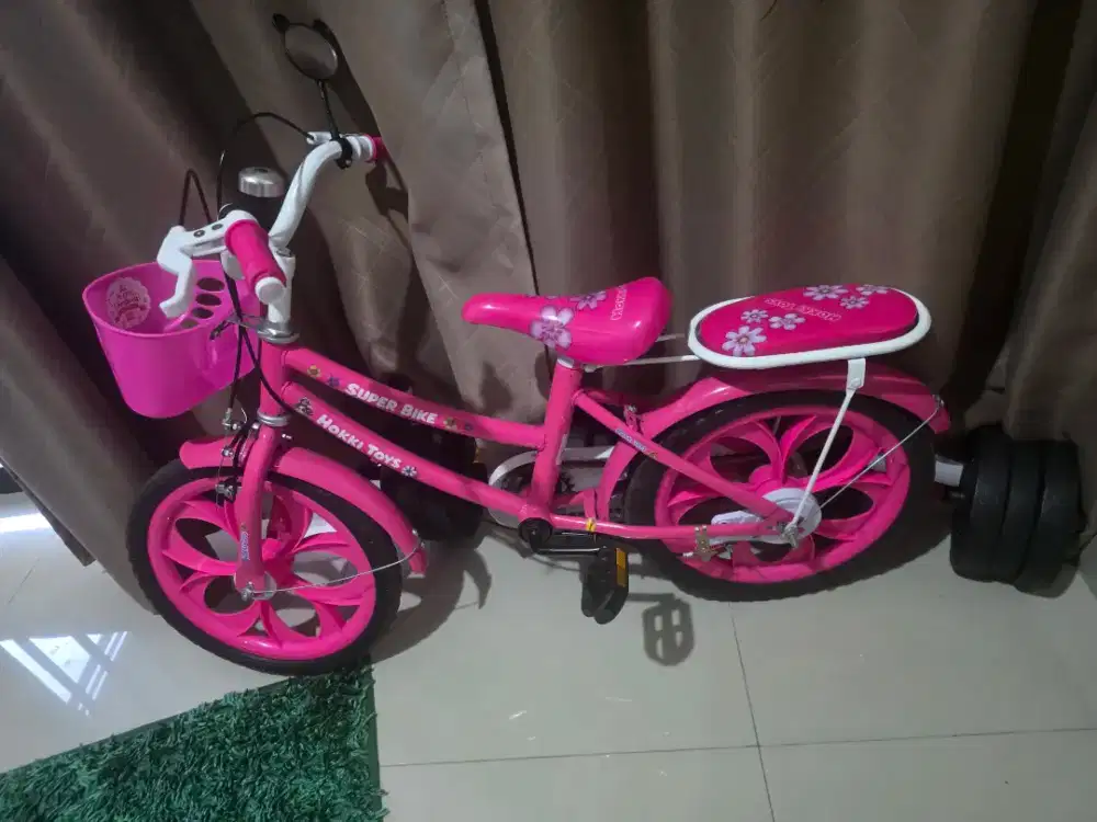 Sepeda Anak Perempuan 14 Inch Pink + Boncengan & Keranjang