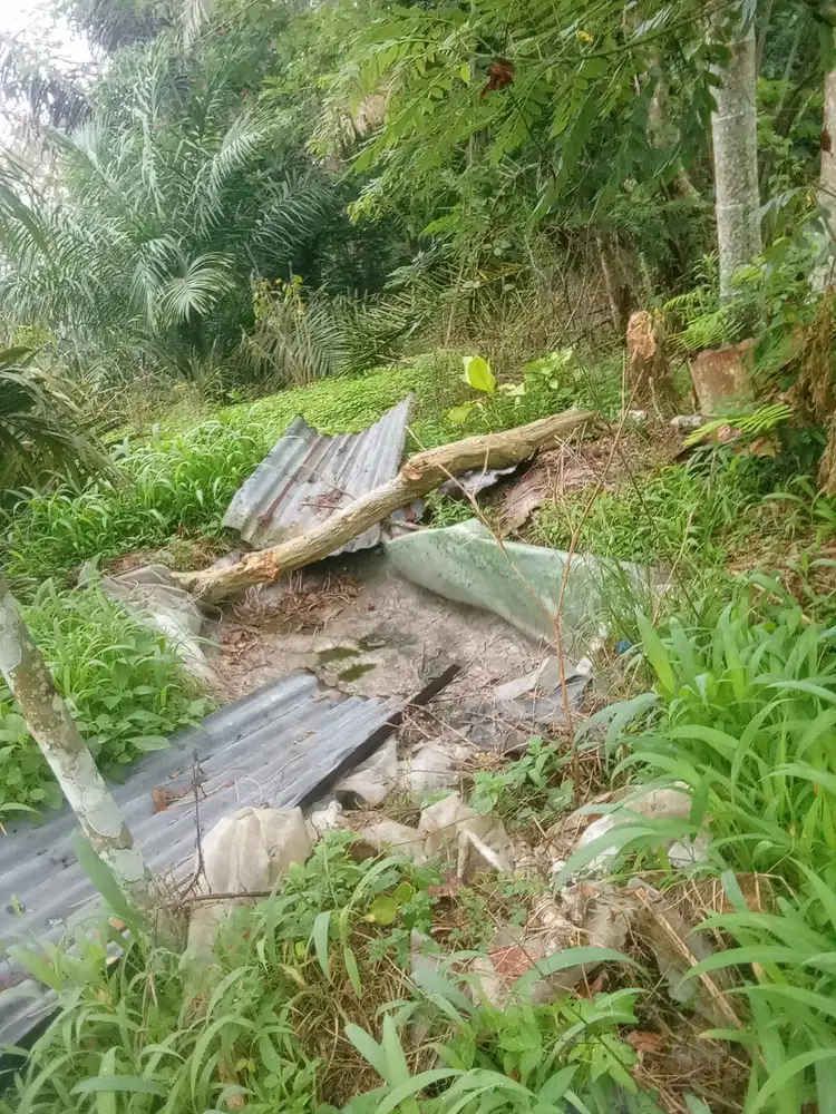 Pertanian perkebunan