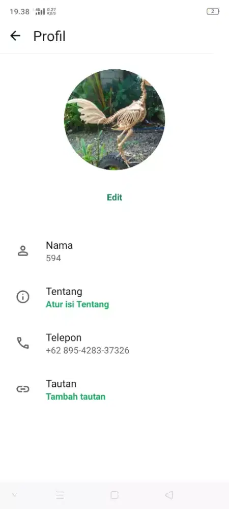 Jual obat  ayam byak macam dn bgus
