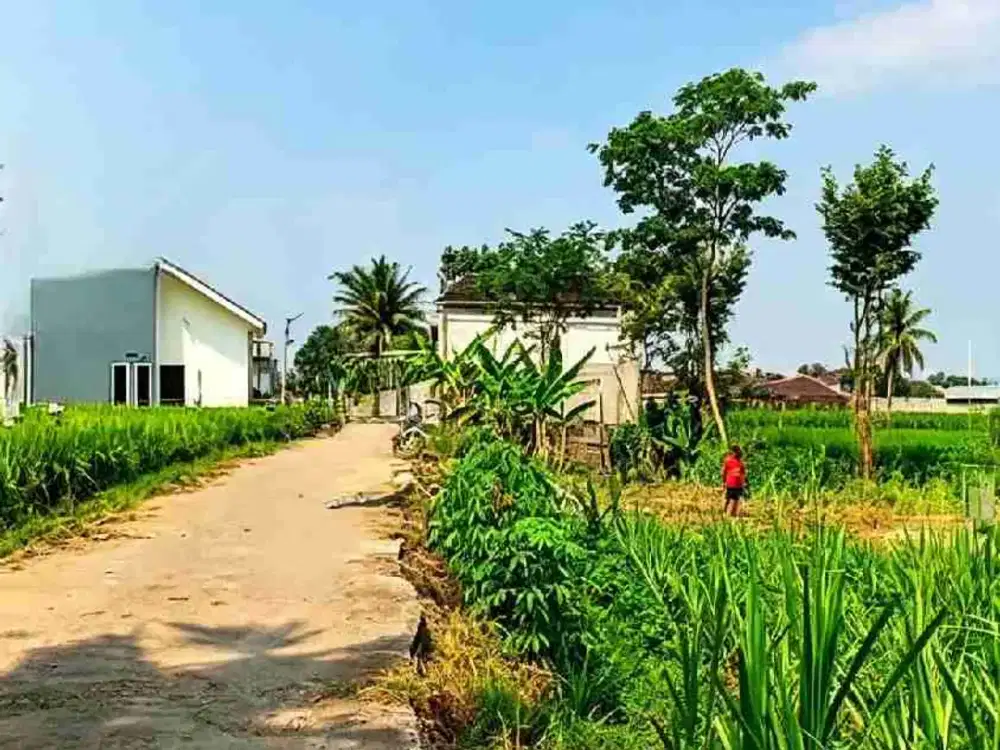 TANAH LOKASI PARANG ARGO WAGIR KABUPATEN MALANG