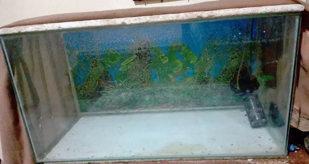 jual cepet aquarium bekas