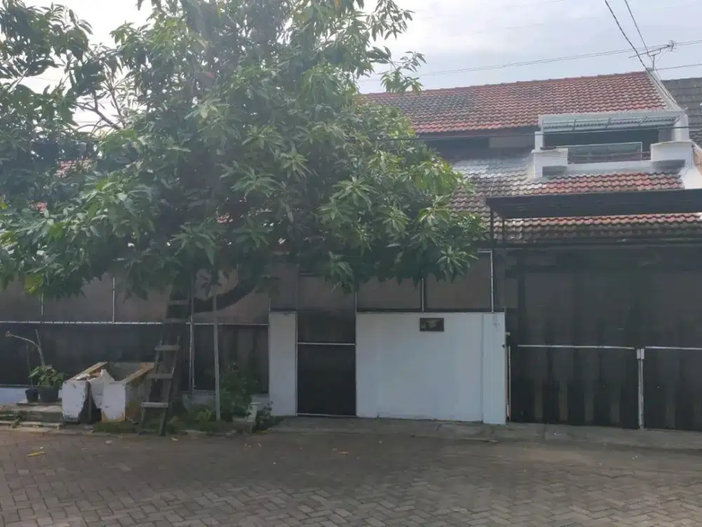 Kutisari Indah Selatan