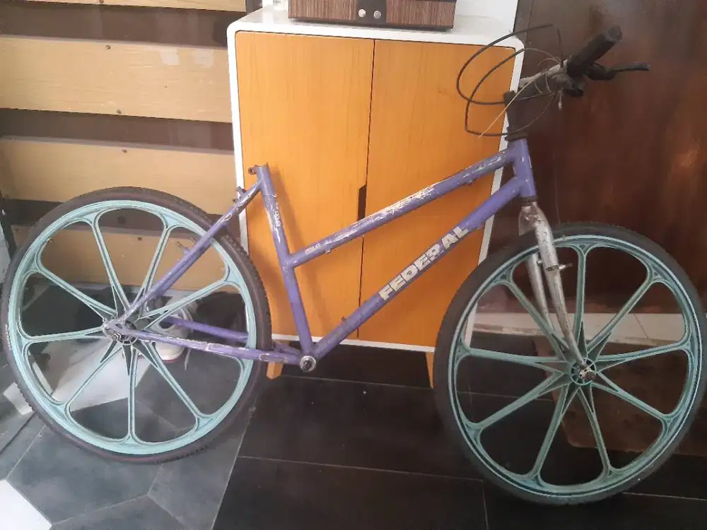 Frame Federal Wild Cat ML 33 SX Lady + Velg Racing OGK Japan
