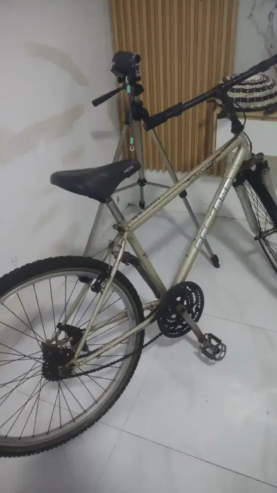 Polygon montana vintage 90s rims araya japan