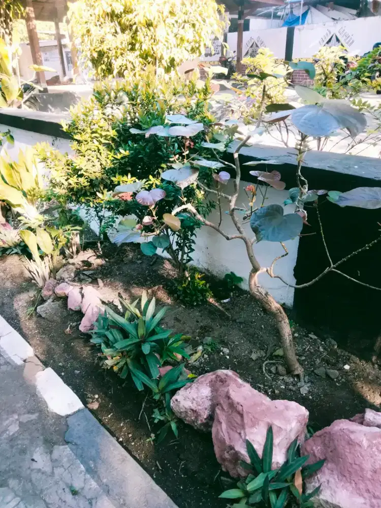 Jasa kebersihan/perawatan taman
