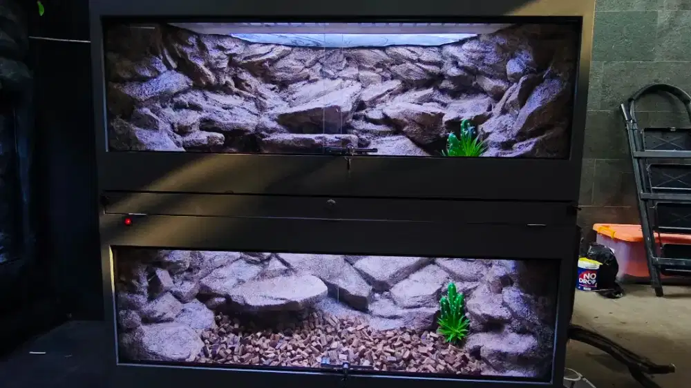 Terrarium wall reptile / background kandang