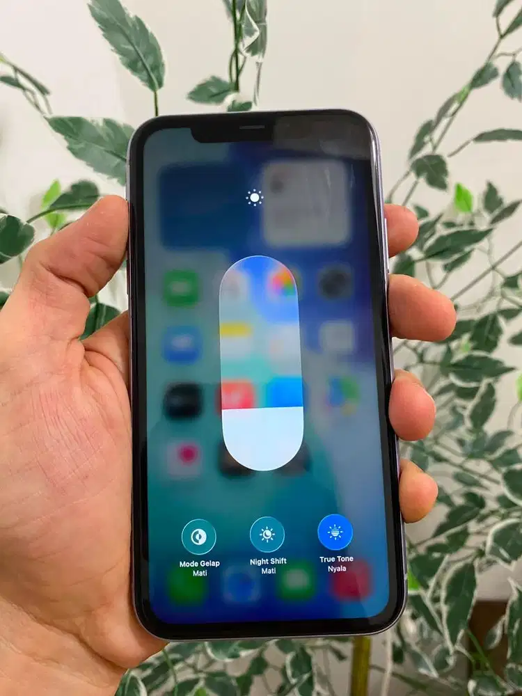 iphone 11 128gb purple