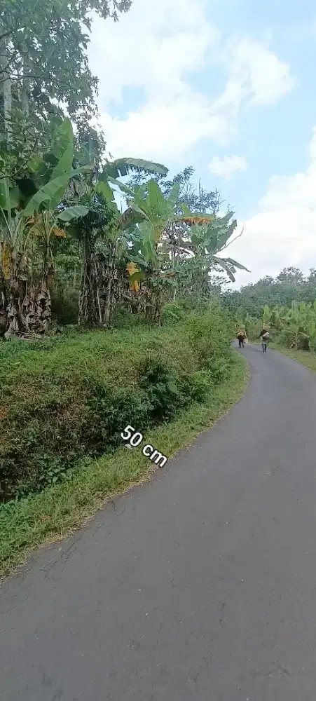 Di Jual tanah kebun