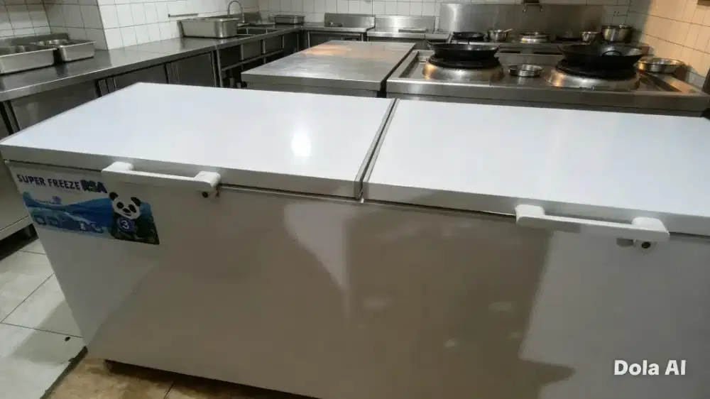 freezer box 750L RSA