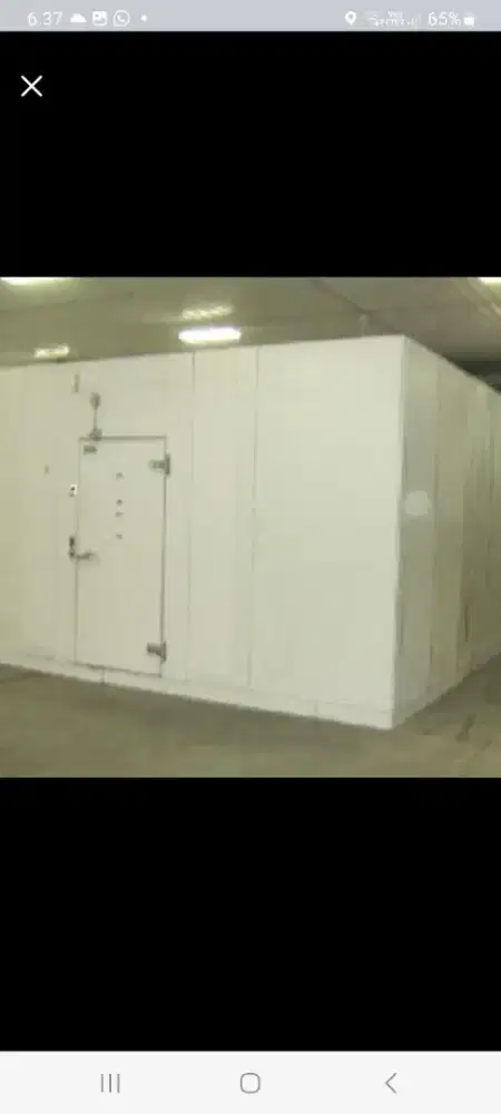 cold storage 12 ton