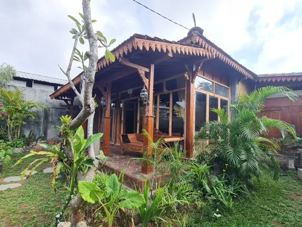 Disewakan Rumah konsep Villa Bagus area Renon