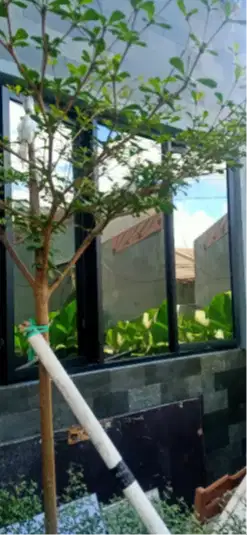 Sedia Kaca film rumah, kacafilm oneway, kaca film gelap hitam riben