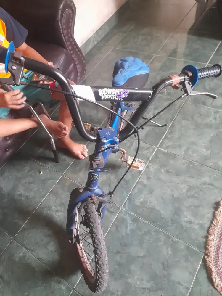 Sepeda anak polygon