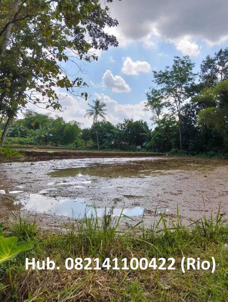 Dijual tanah produktif lokasi strategis di Jember