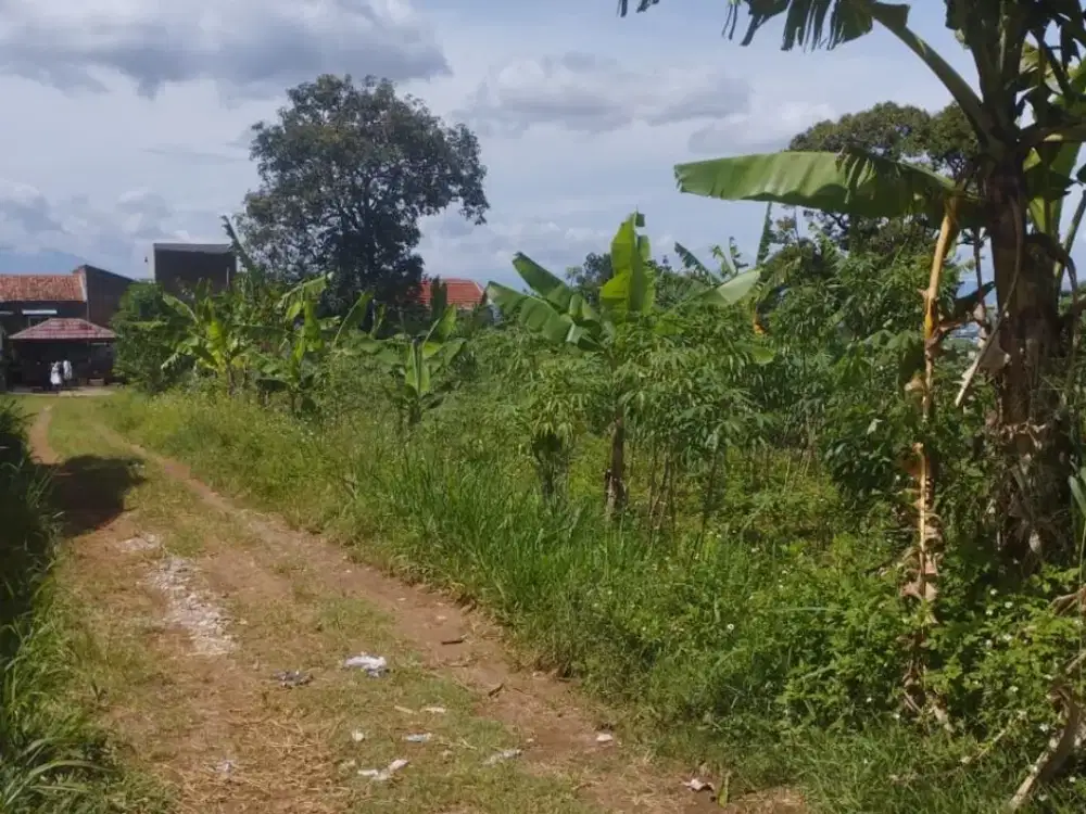 JUAL CEPAT TANAH 200M DI CILEUNYI BANDUNG