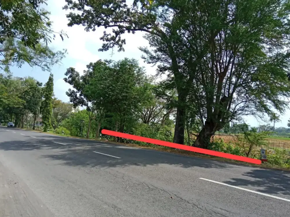 Tanah Mangku Jalan Utama Dekat RS UII Pandak Bantul #Kode : TS 009