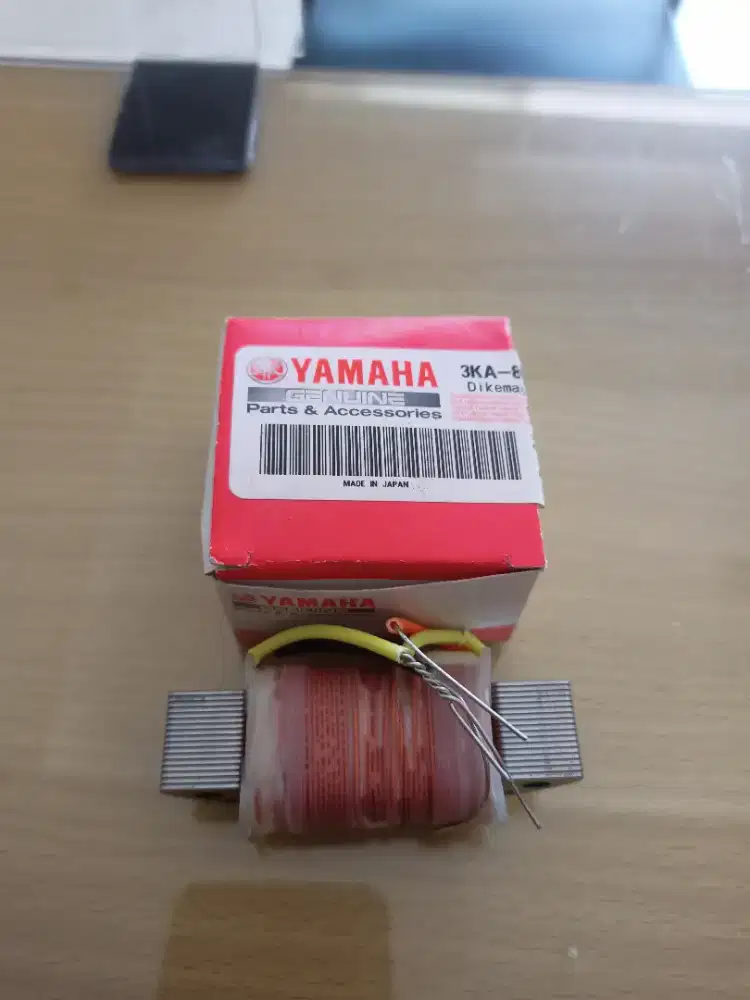 3KA-81313-00 (COIL LAIGHTHING)