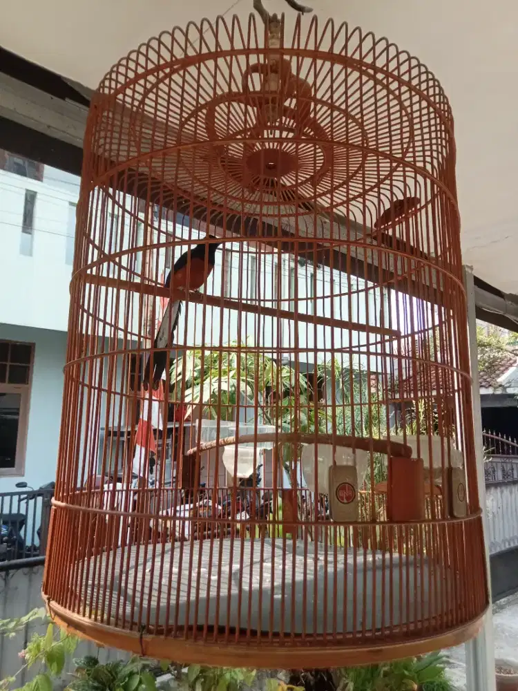 Muray Medan Prestasi