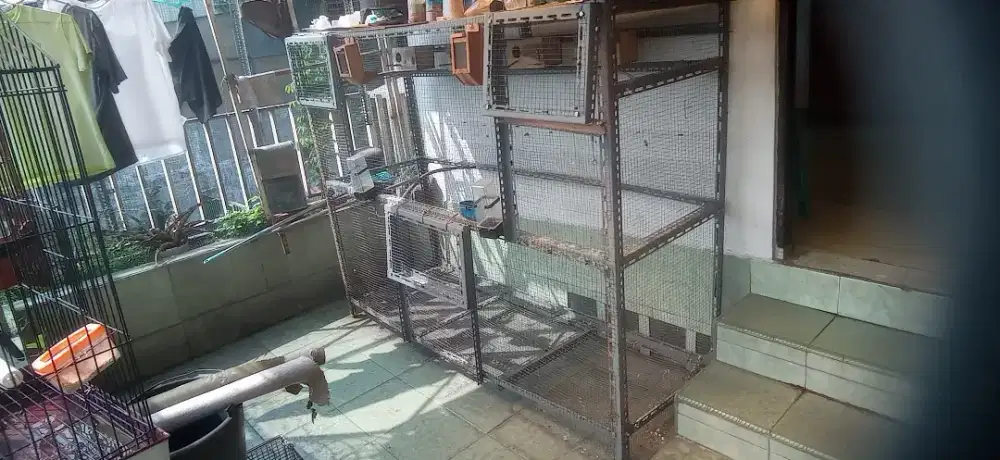 Kandang Aviary bekas Lovebird