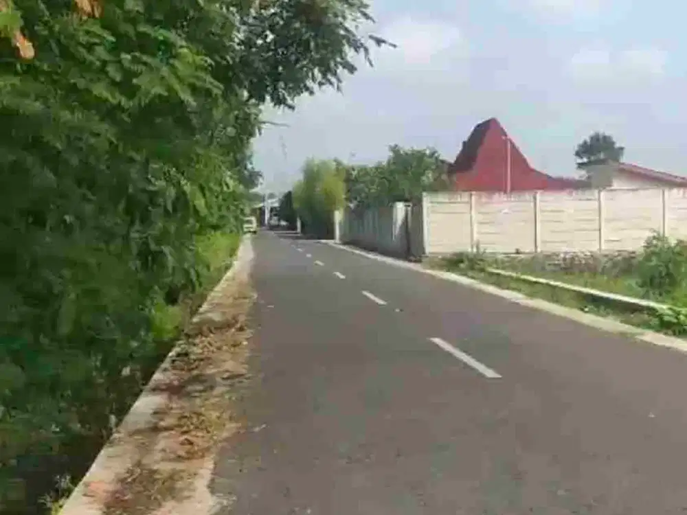 Tanah Murah Mangku Jalan di Sedayu Bantul