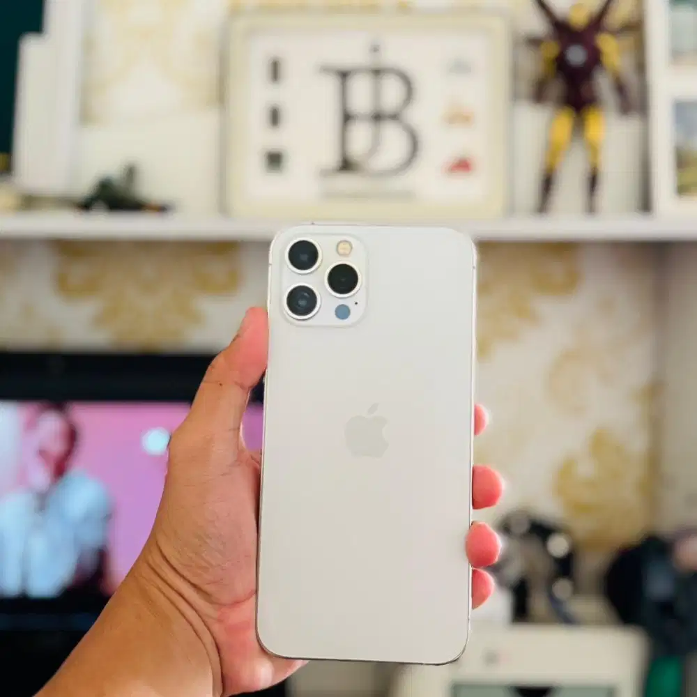 iPhone 12 ProMax 512gb mulus jual cepaat