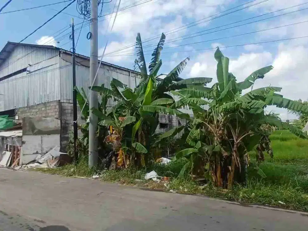 TANAH PREMIUM MAHENDRADATTA SELATAN DENPASAR 
DIJUAL TANAH KOMERSIL KAWASAN GUDANG & GUEST HOUSE 
LOKASI JALAN UTAMA GUNUNG SAMPANG MAHENDRADATTA SELATAN