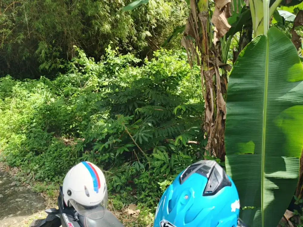 Dijual Tanah SHM di Wonorejo Gondangrejo Karangangar Jawa Tengah