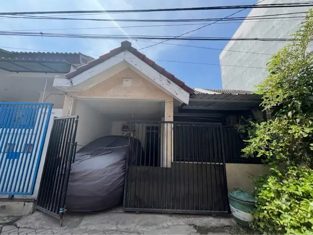 Nego! Dijual Rumah Mulyosari! Under 1M! Lokasi Strategis!