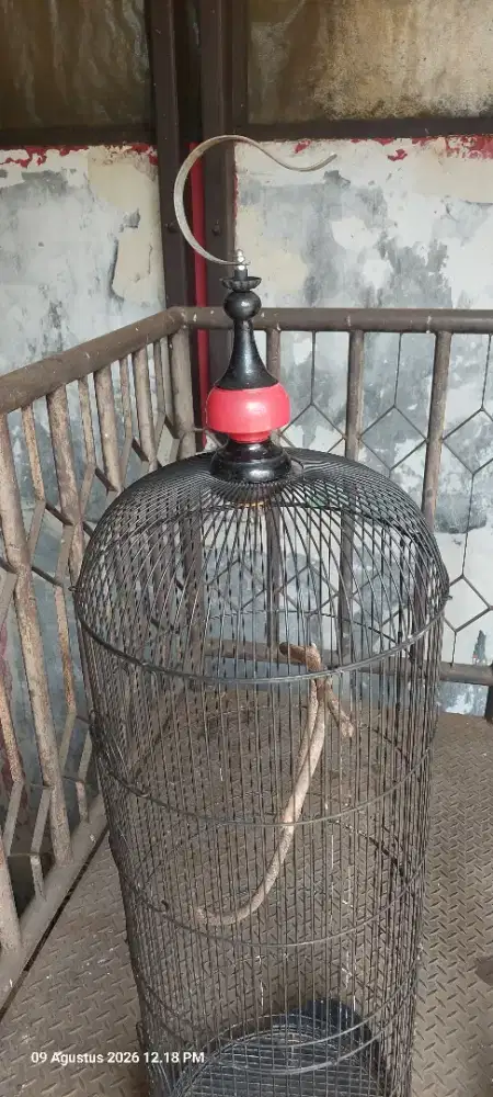 di jual kandang burung