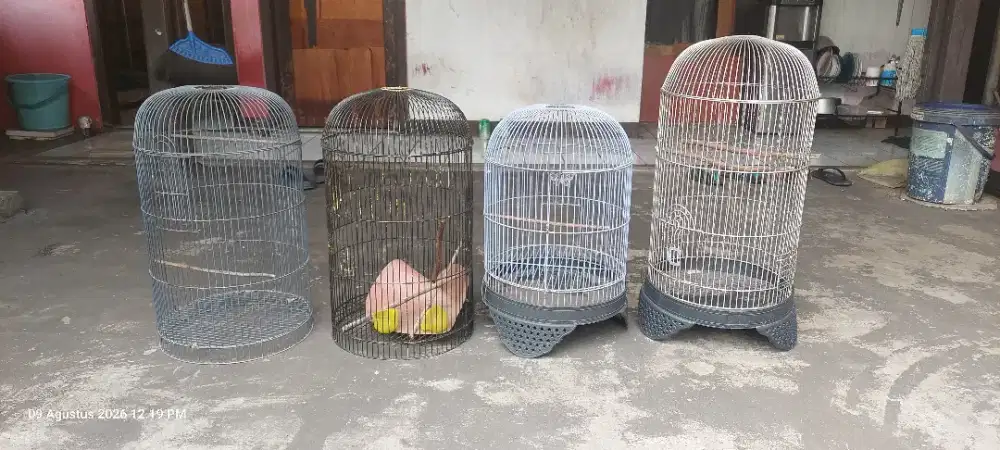 kandang burung borongan ada 4