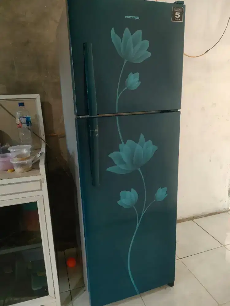 Polytron 2pintu