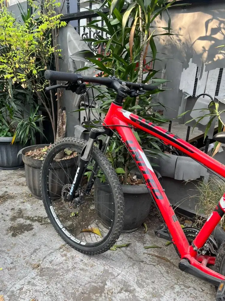 MTB United Miami 2.00