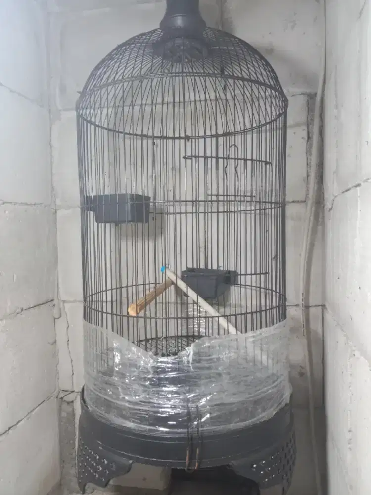 Kandang burung Lovebird