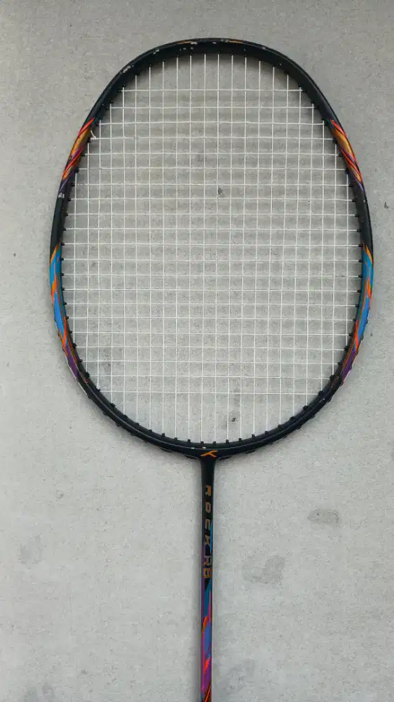 RAKET BULU TANGKIS HUNDRED ROCK R8
