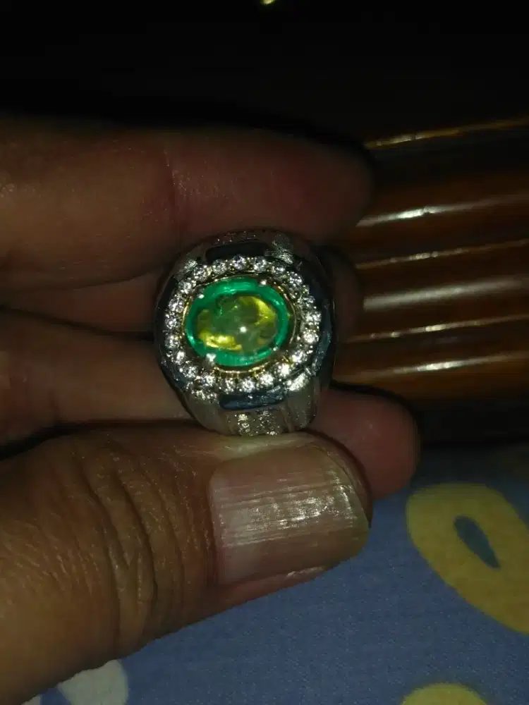 Zamrud kolimbia blink2